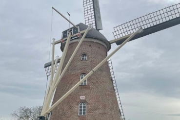 Restauratie molen de Harmonie te Biervliet